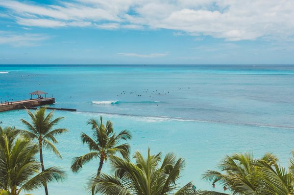 Séjours et voyages : explorez la beauté de la camargue